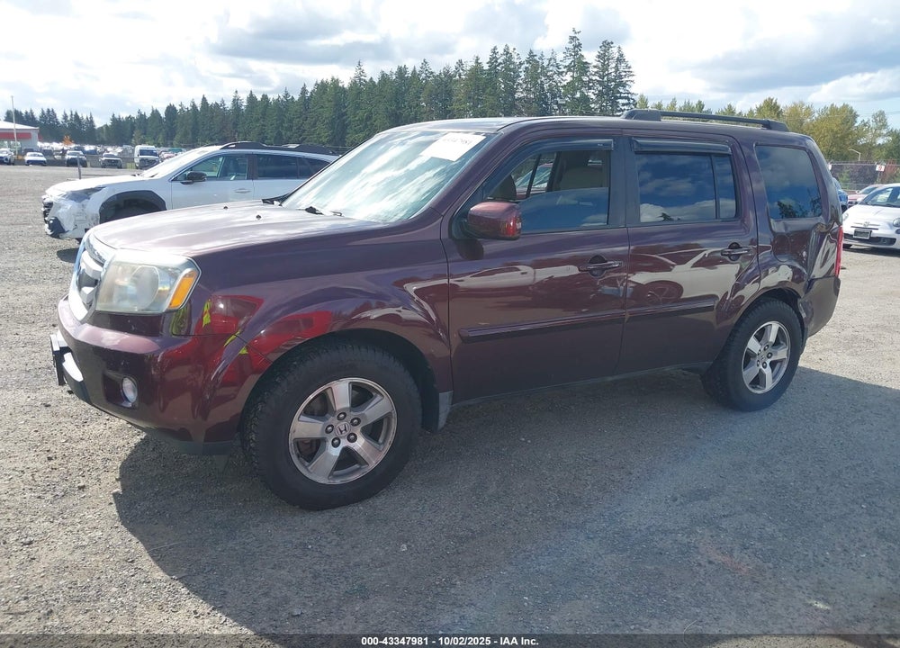 2009 HONDA PILOT VIN: 5FNYF48449B047739
