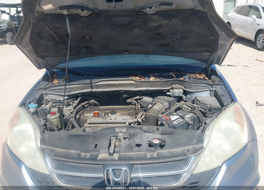 2010 HONDA CR-V VIN: 5J6RE3H34AL014065