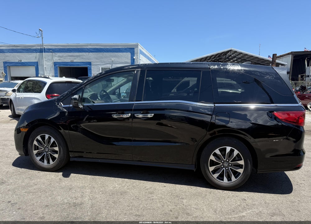 2024 HONDA ODYSSEY EX-L VIN: 5FNRL6H68RB018609