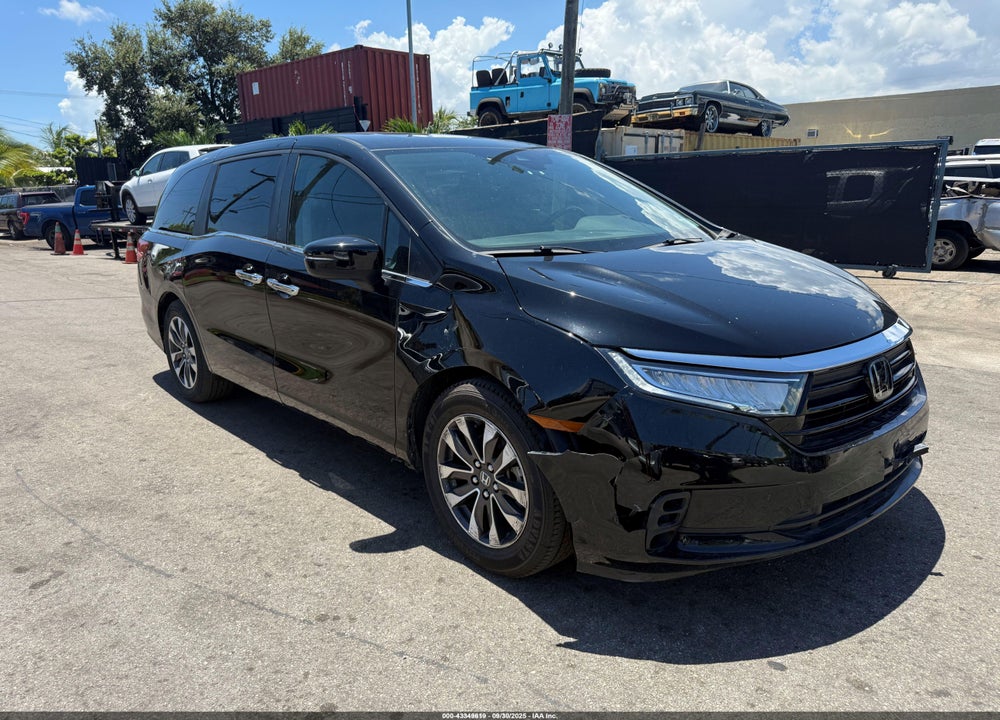2024 HONDA ODYSSEY EX-L VIN: 5FNRL6H68RB018609