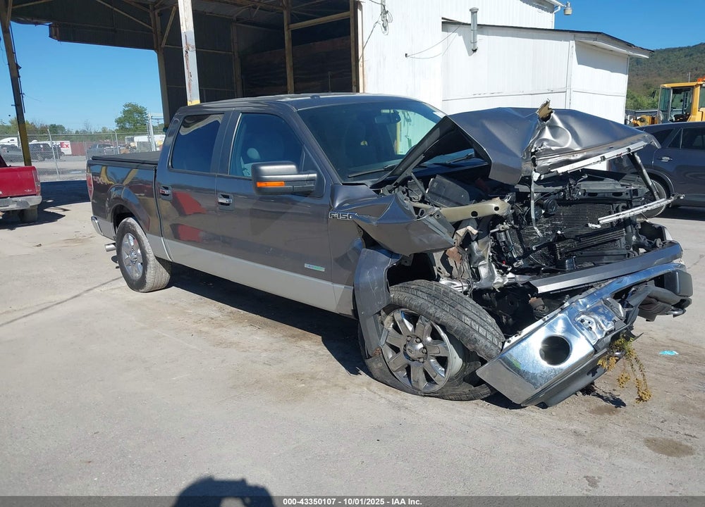 2013 FORD F-150 XLT VIN: 1FTFW1ET6DFA12139