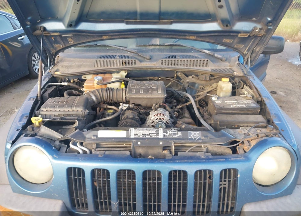 2003 JEEP LIBERTY SPORT VIN: 1J4GK48K13W568596
