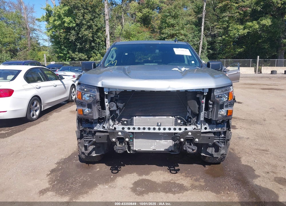 2025 CHEVROLET SILVERADO 1500 VIN: 1GCPKBEK6SZ124710
