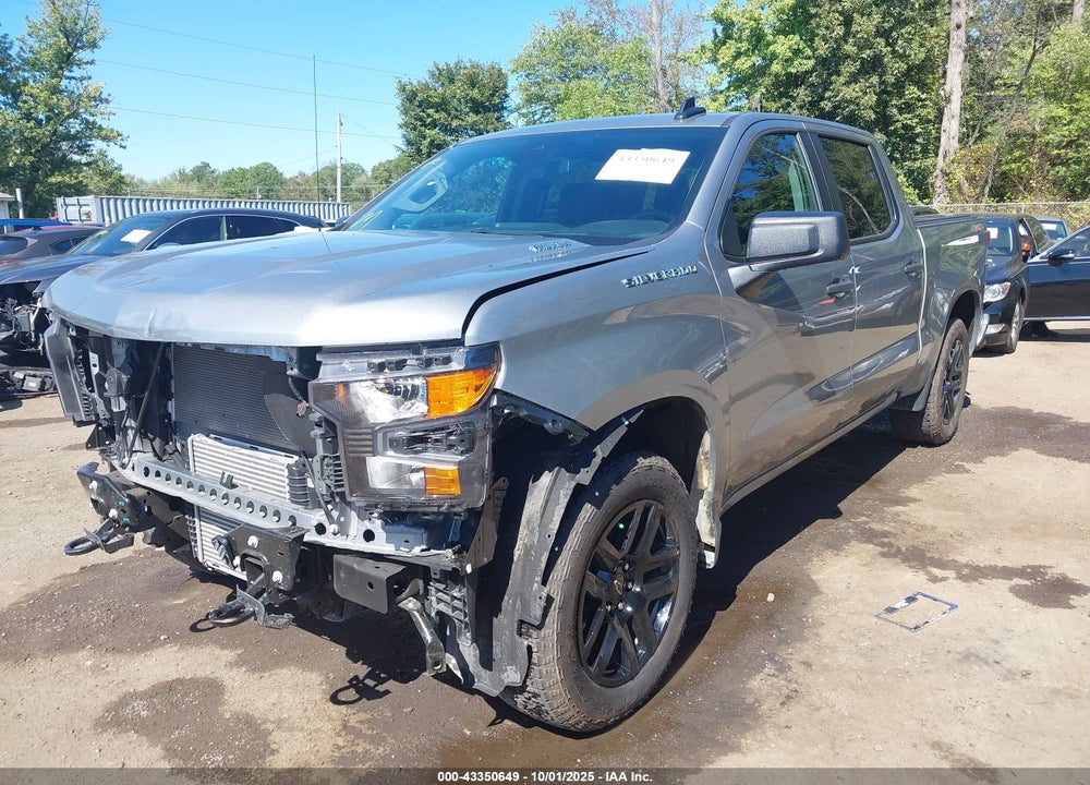 2025 CHEVROLET SILVERADO 1500 VIN: 1GCPKBEK6SZ124710