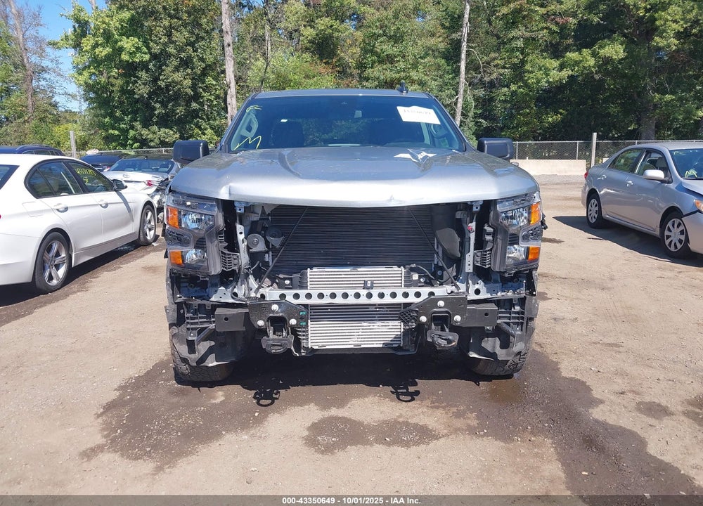 2025 CHEVROLET SILVERADO 1500 VIN: 1GCPKBEK6SZ124710