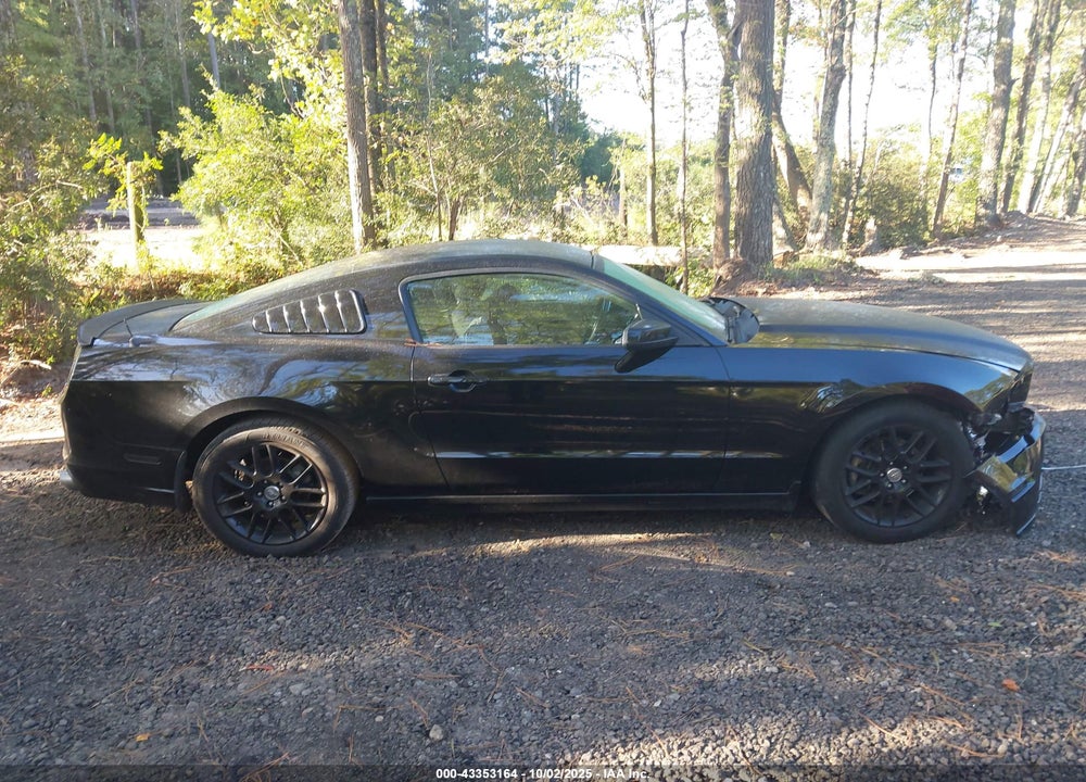 2014 FORD MUSTANG VIN: 1ZVBP8AM2E5301266