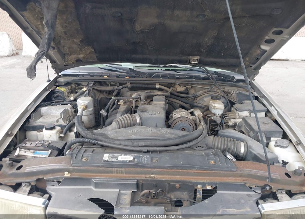 1998 CHEVROLET S-10 LS FLEETSIDE VIN: 1GCCS1941W8222057