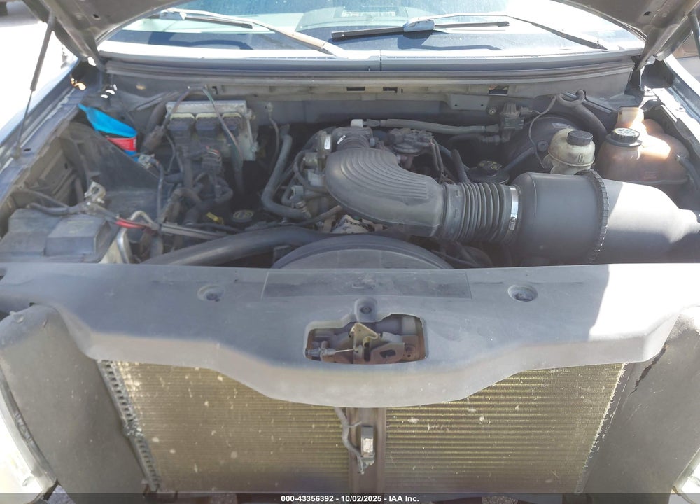 2006 FORD F-150 STX/XL/XLT VIN: 1FTRX12W46NB27386