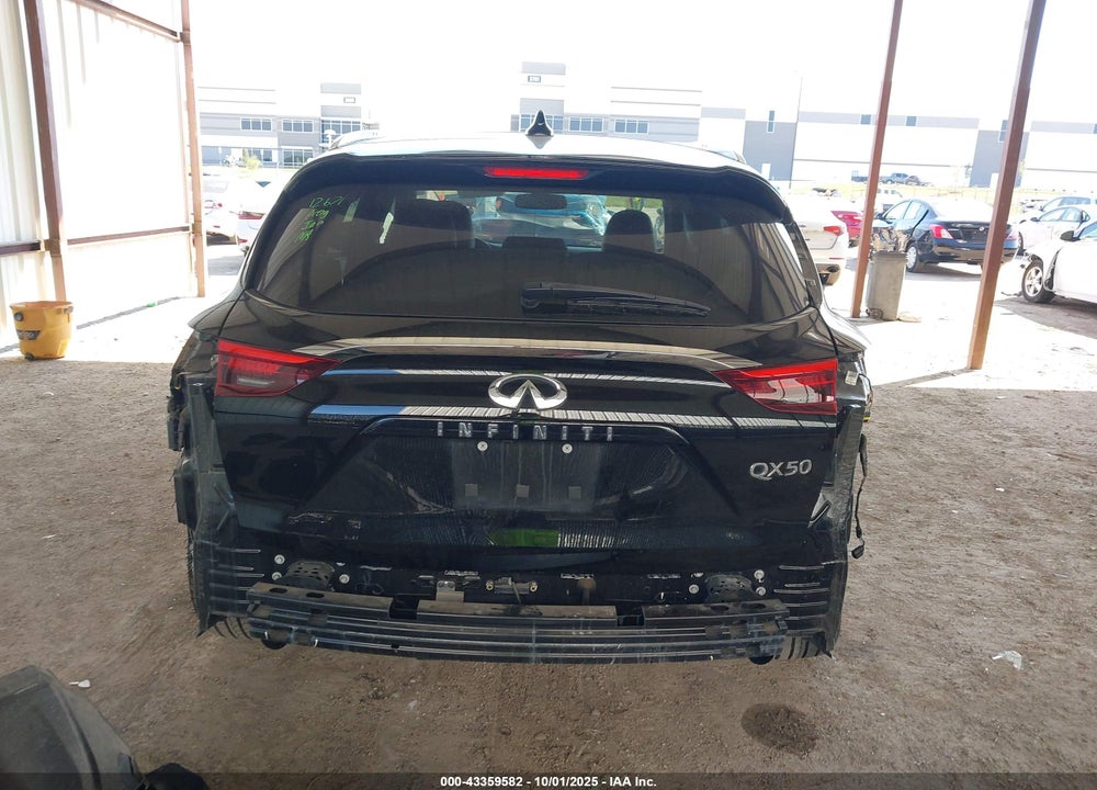 2019 INFINITI QX50 LUXE VIN: 3PCAJ5M12KF137902