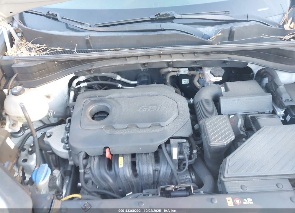 2019 KIA SPORTAGE LX VIN: KNDPM3AC5K7494525