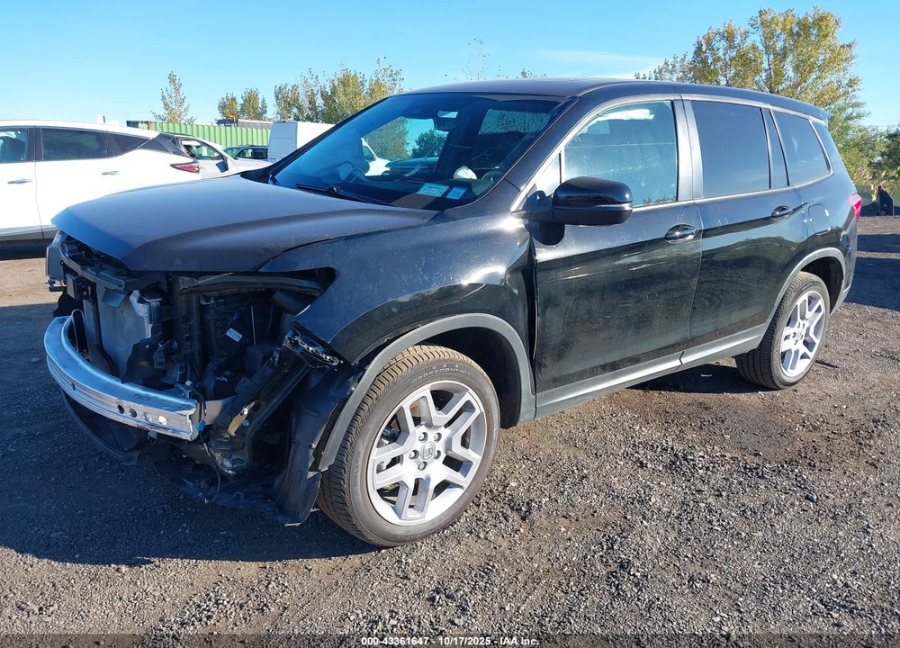 2024 HONDA PASSPORT AWD EX-L VIN: 5FNYF8H54RB023893