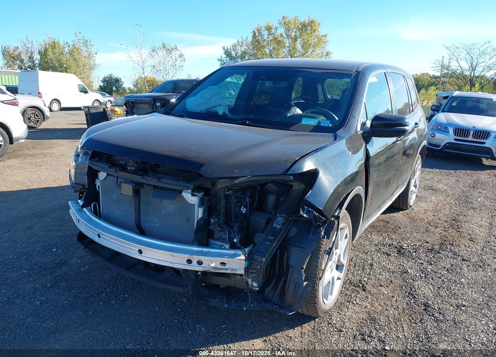 2024 HONDA PASSPORT AWD EX-L VIN: 5FNYF8H54RB023893