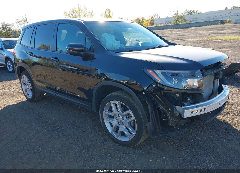 2024 HONDA PASSPORT AWD EX-L VIN: 5FNYF8H54RB023893