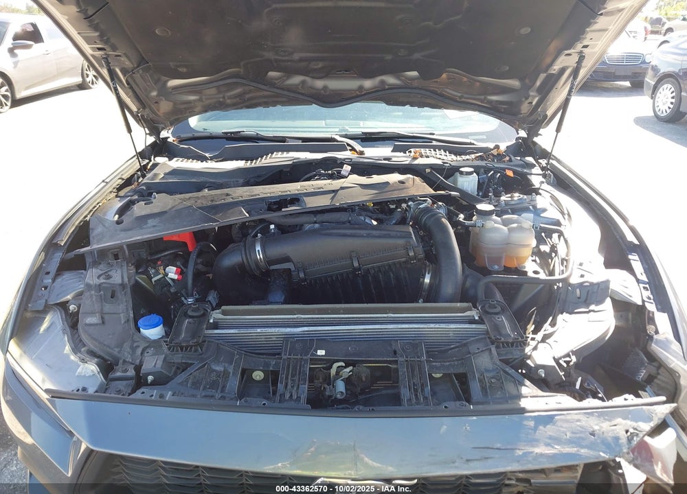 2024 FORD MUSTANG ECOBOOST PREMIUM VIN: 1FAGP8UH4R5120804