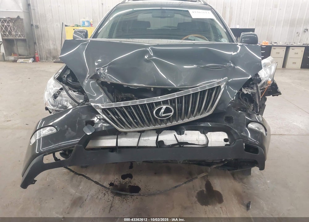 2009 LEXUS RX 350 VIN: 2T2HK31U59C128975