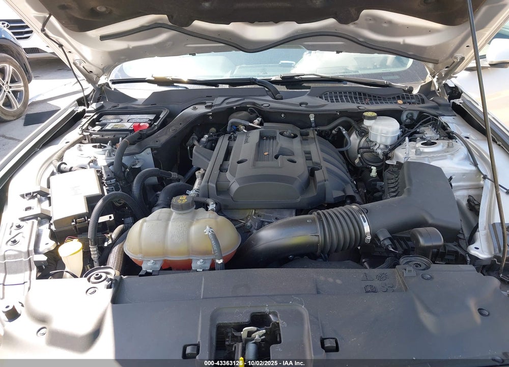 2019 FORD MUSTANG VIN: 1FA6P8TH4K5117050