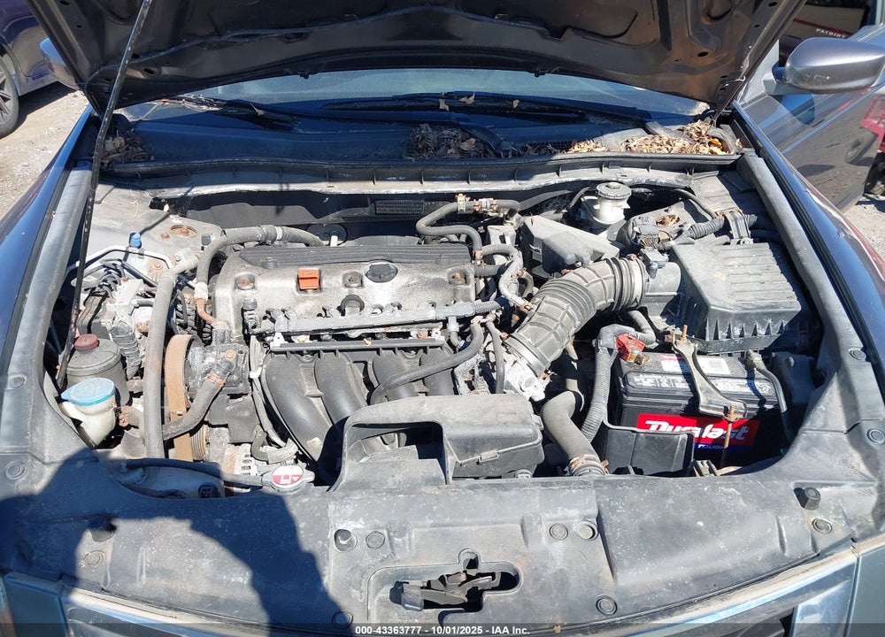 2010 HONDA ACCORD 2.4 LX VIN: 1HGCP2F36AA195718