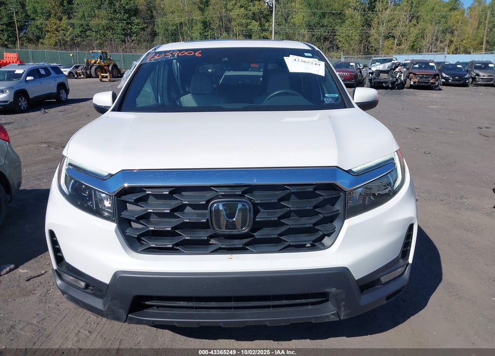 2024 HONDA PASSPORT VIN: 5FNYF8H50RB017606