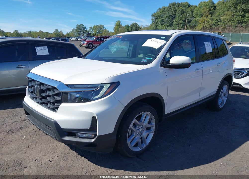 2024 HONDA PASSPORT VIN: 5FNYF8H50RB017606