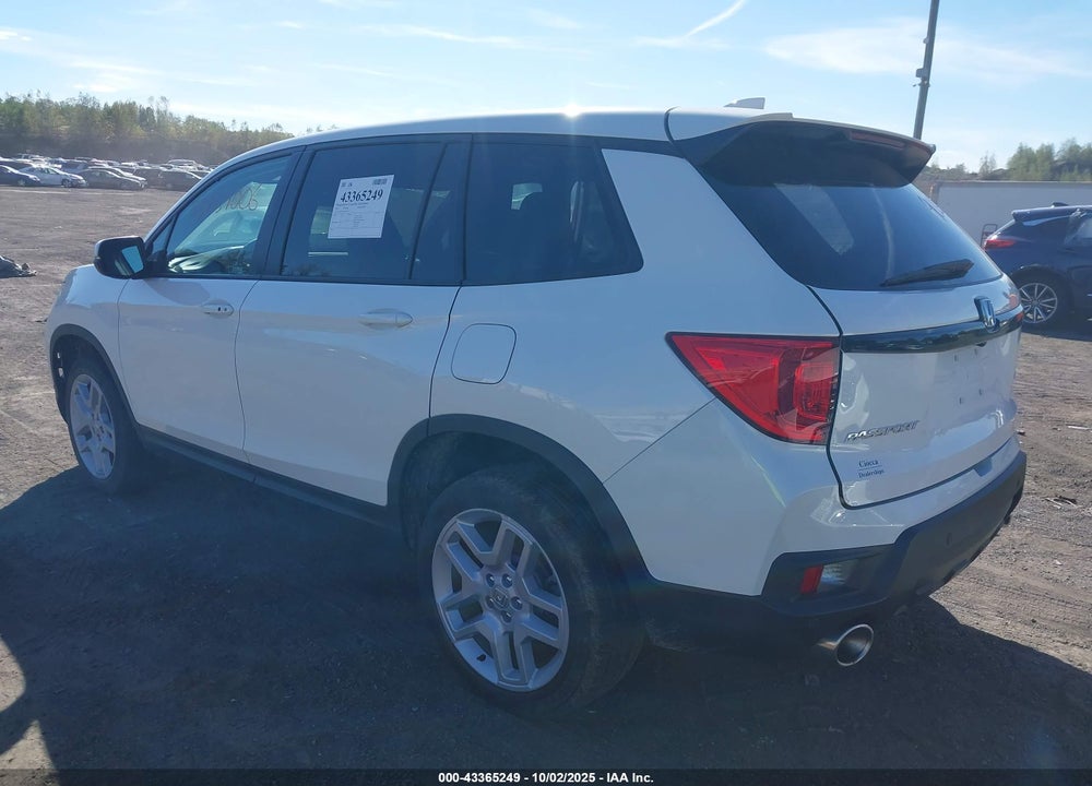 2024 HONDA PASSPORT VIN: 5FNYF8H50RB017606