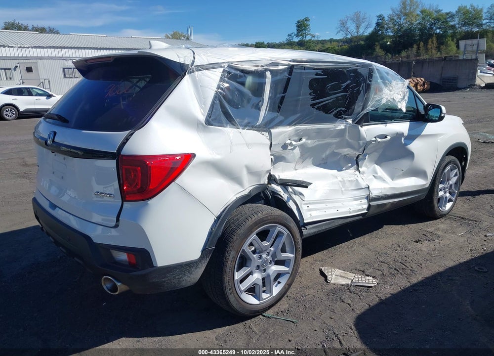 2024 HONDA PASSPORT VIN: 5FNYF8H50RB017606