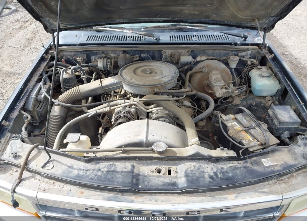 1994 DODGE DAKOTA VIN: 1B7GG23X9RS562415