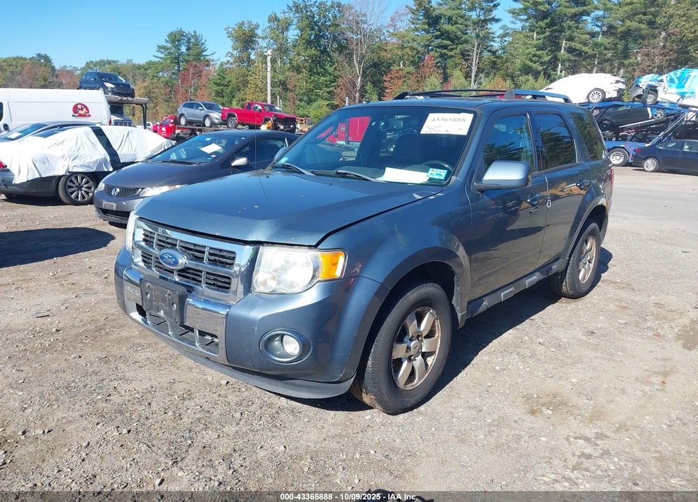 2011 FORD ESCAPE VIN: 1FMCU9EGXBKB81834