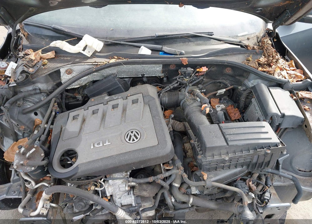 2013 VOLKSWAGEN PASSAT VIN: 1VWBN7A34DC062160