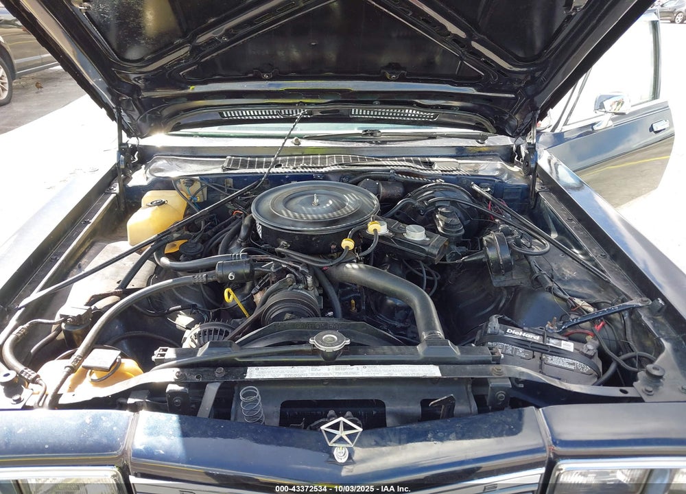 1986 DODGE DIPLOMAT SALON VIN: 1B3BG26P4GX539728