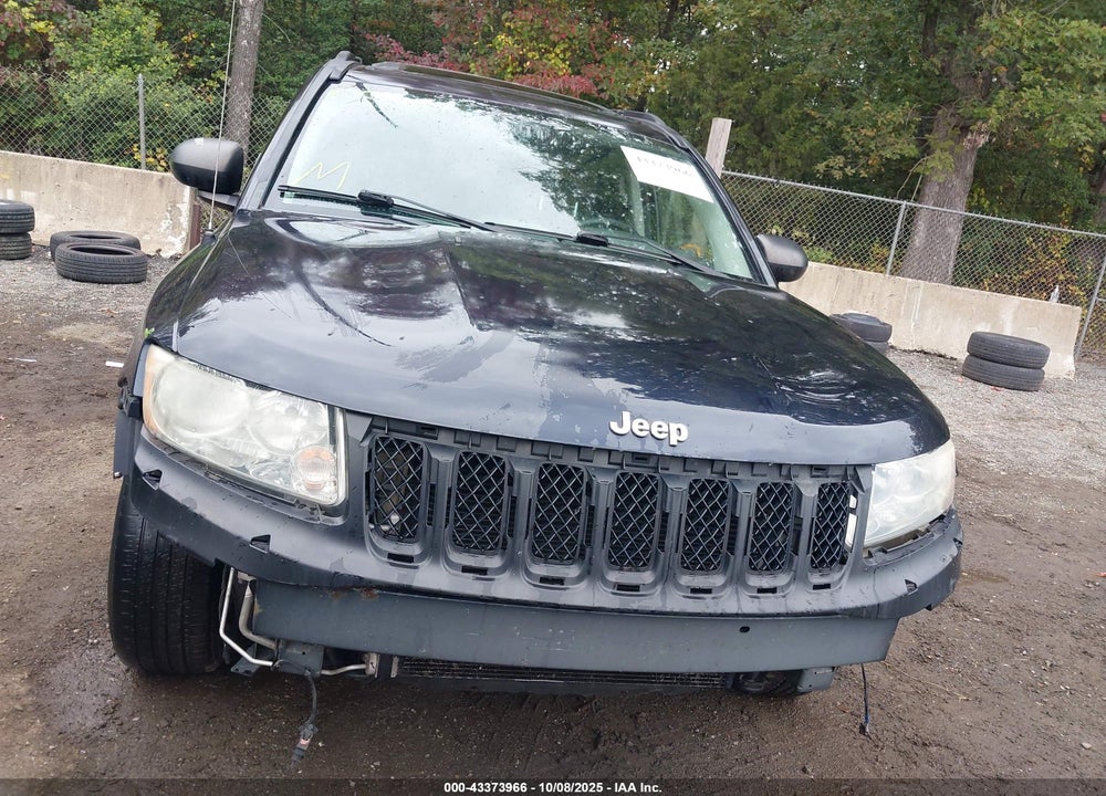 2011 JEEP COMPASS VIN: 1J4NF1FB2BD207076