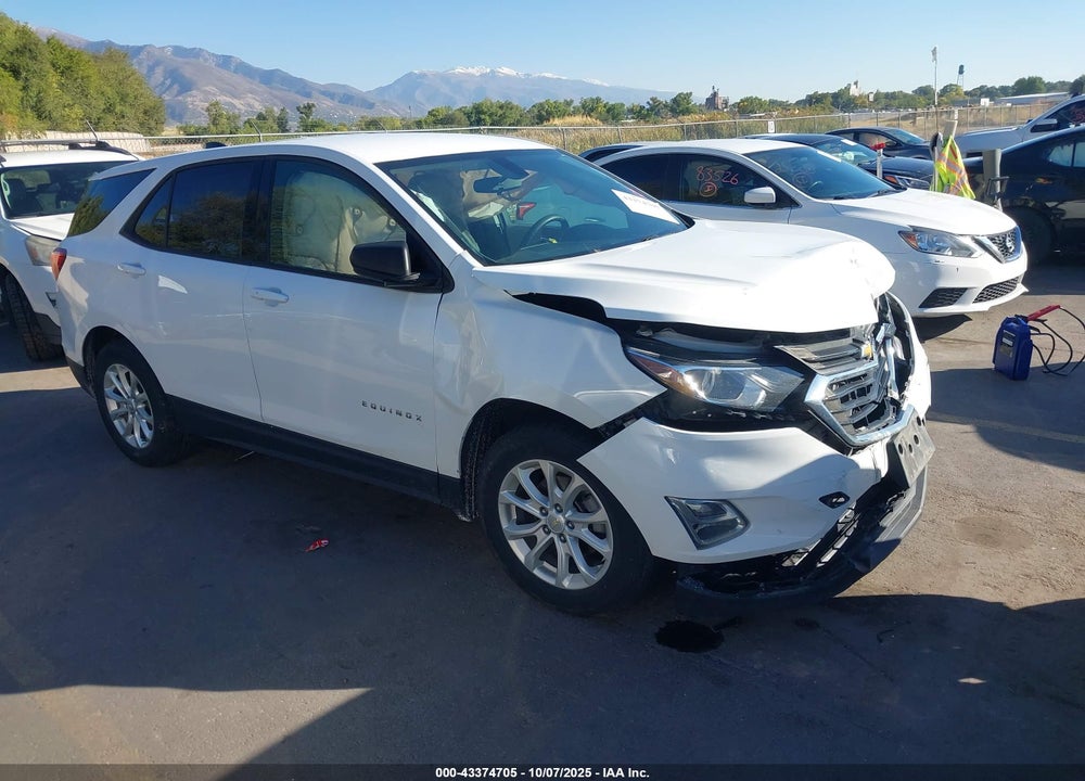 2019 CHEVROLET EQUINOX LS VIN: 2GNAXSEV1K6269982