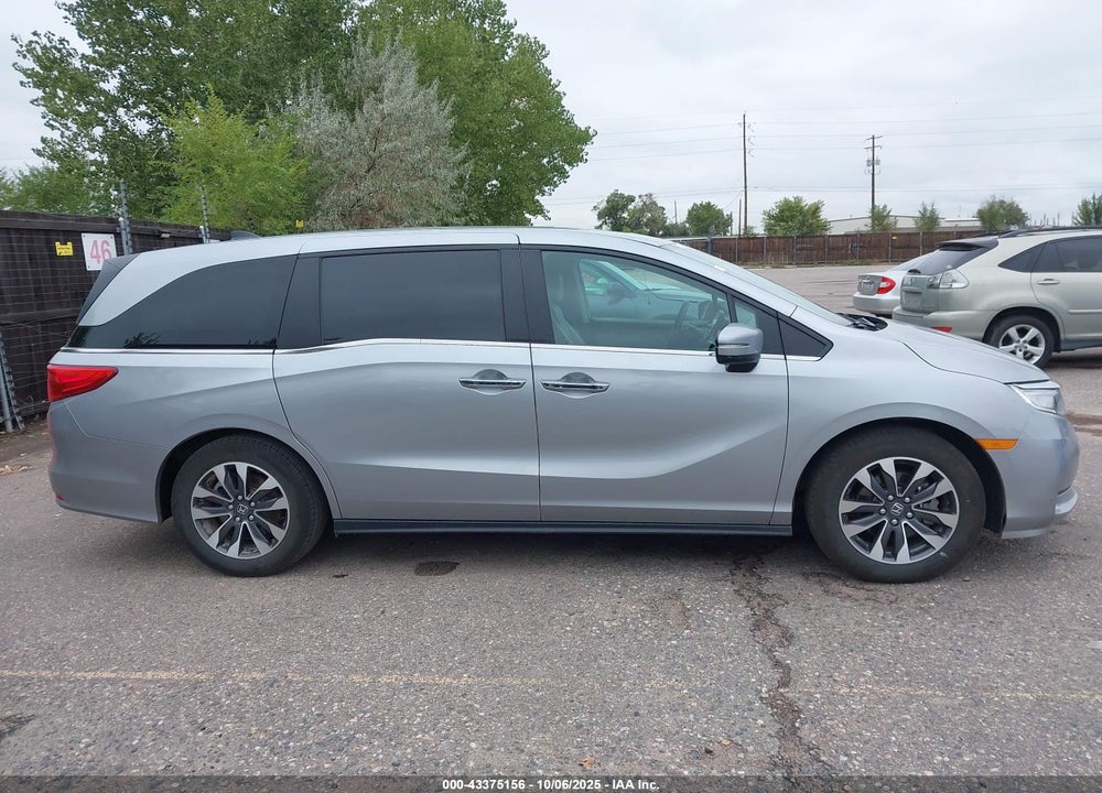 2024 HONDA ODYSSEY EX-L VIN: 5FNRL6H67RB052654
