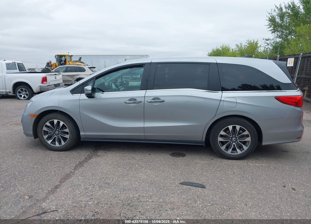 2024 HONDA ODYSSEY EX-L VIN: 5FNRL6H67RB052654