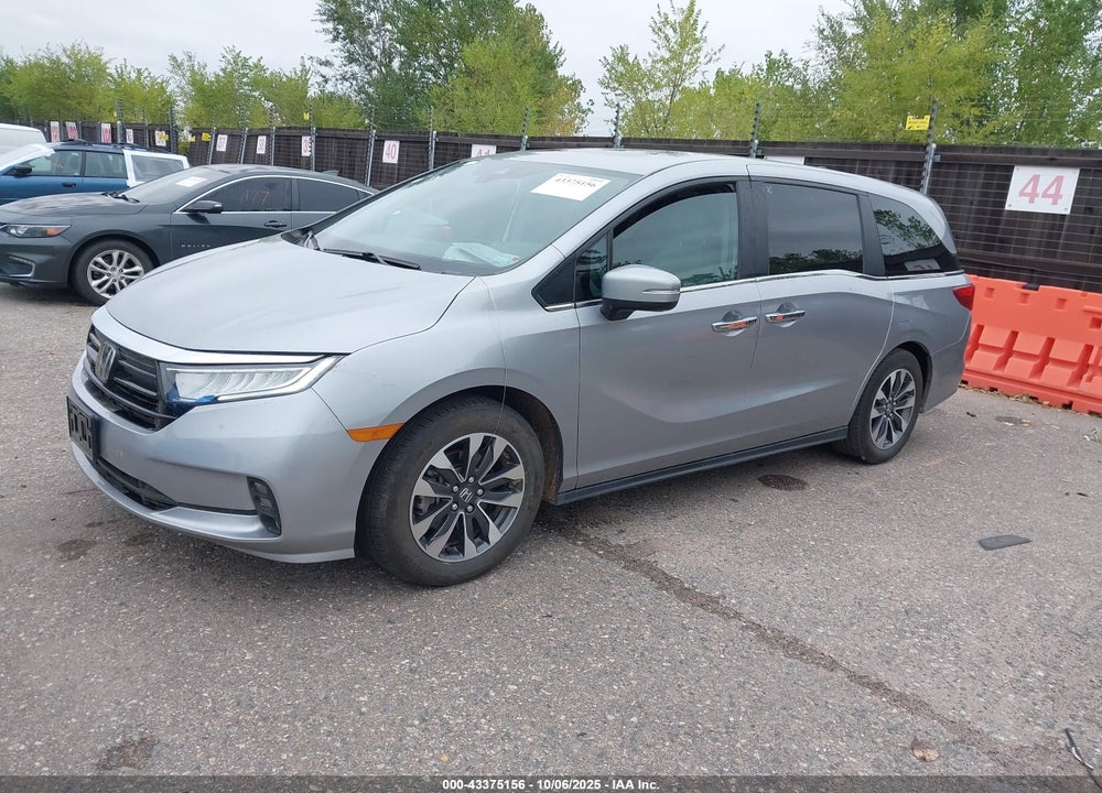 2024 HONDA ODYSSEY EX-L VIN: 5FNRL6H67RB052654