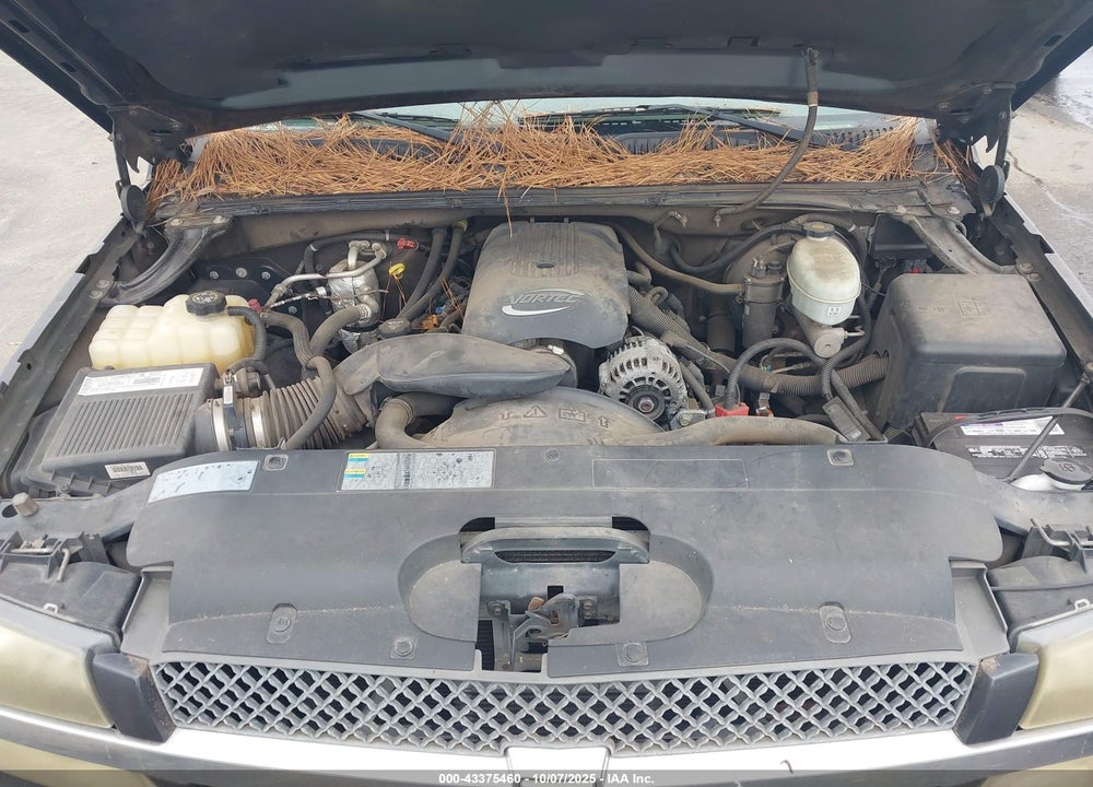 2003 CHEVROLET SILVERADO 1500 LS VIN: 1GCEK14T13Z348531