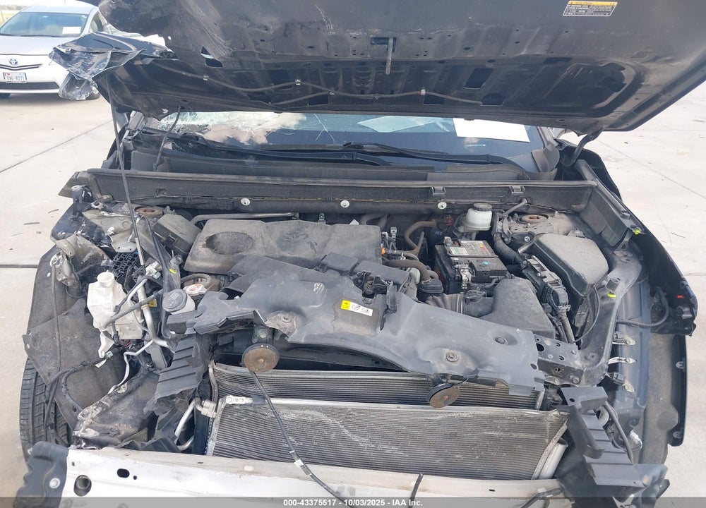 2019 TOYOTA RAV4 XLE VIN: JTMW1RFV5KD511696