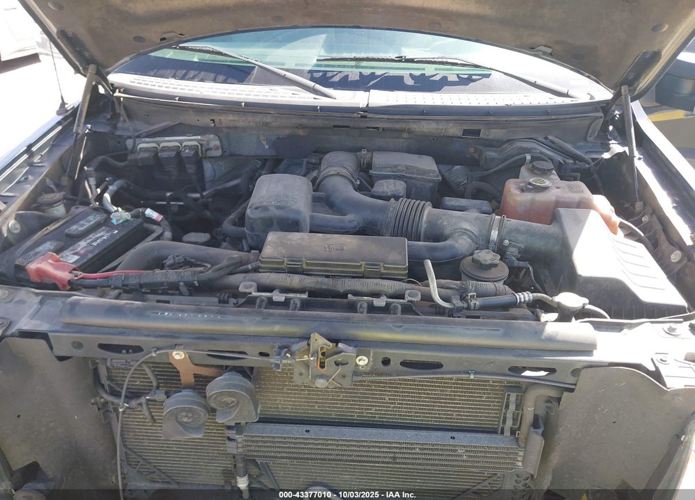 2010 FORD F-150 FX4/LARIAT/XL/XLT VIN: 1FTFX1EV6AFC55833
