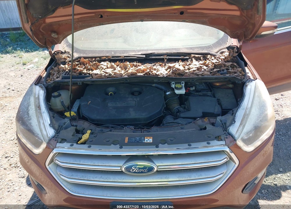 2017 FORD ESCAPE VIN: 1FMCU0J95HUE85797