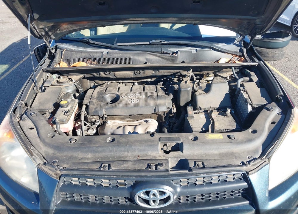 2009 TOYOTA RAV4 VIN: JTMBF33V895008816