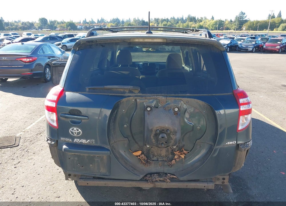 2009 TOYOTA RAV4 VIN: JTMBF33V895008816