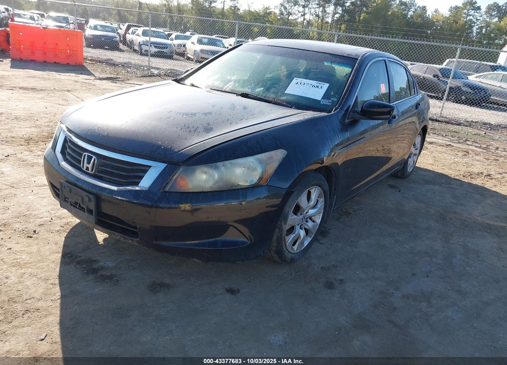 2010 HONDA ACCORD VIN: 1HGCP2F84AA192697