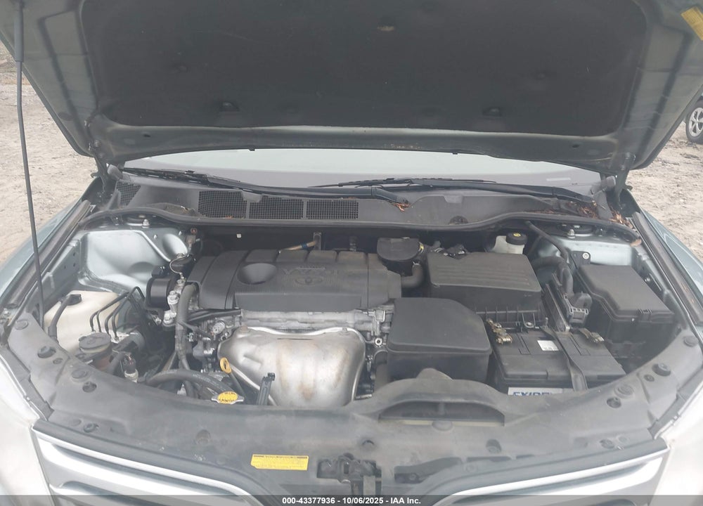 2010 TOYOTA VENZA VIN: 4T3ZA3BBXAU021276