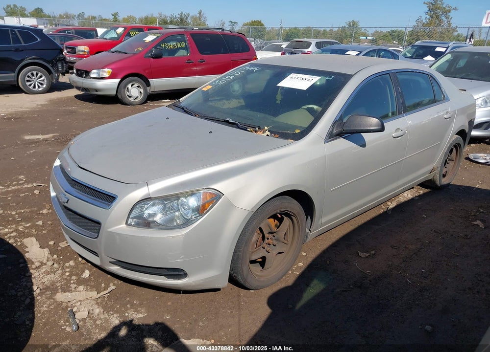 2011 CHEVROLET MALIBU VIN: 1G1ZB5E11BF242224