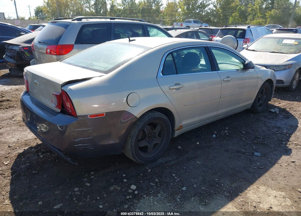 2011 CHEVROLET MALIBU VIN: 1G1ZB5E11BF242224