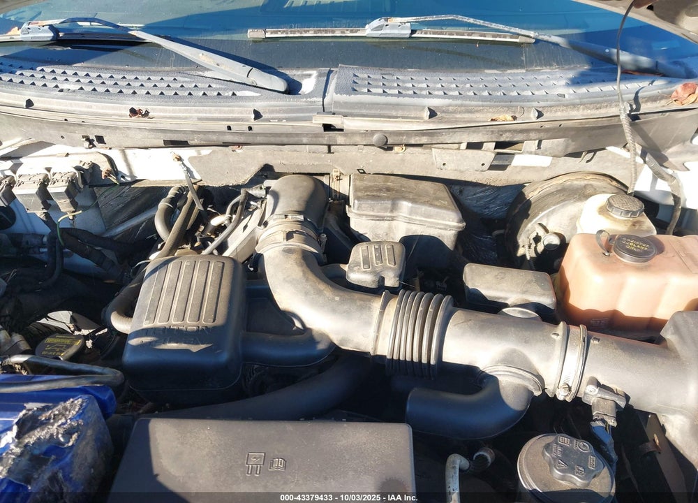 2009 FORD F-150 VIN: 1FTPW14V19FA01791