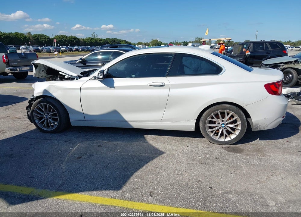 2015 BMW 228I VIN: WBA1F5C54FV257257
