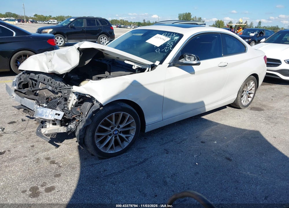 2015 BMW 228I VIN: WBA1F5C54FV257257