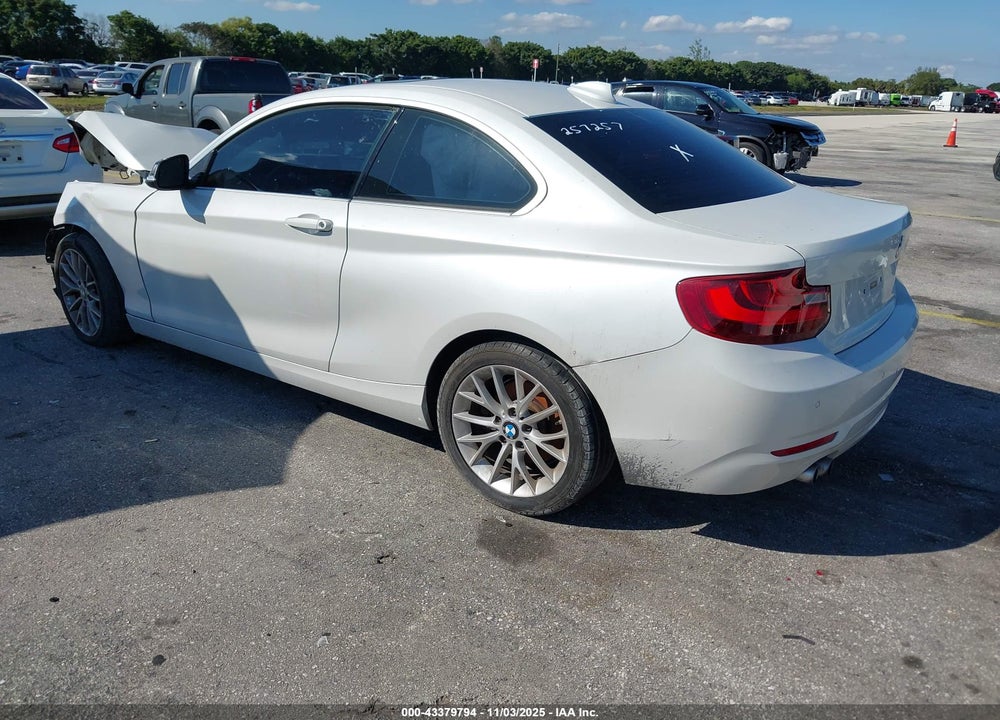 2015 BMW 228I VIN: WBA1F5C54FV257257