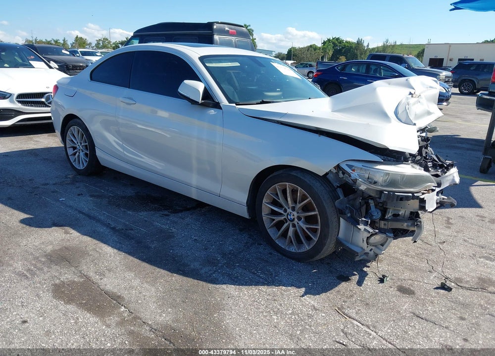 2015 BMW 228I VIN: WBA1F5C54FV257257