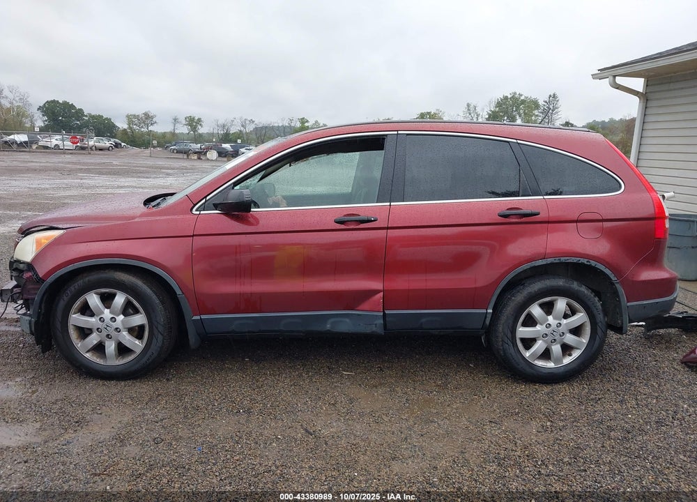 2009 HONDA CR-V VIN: JHLRE48509C017654